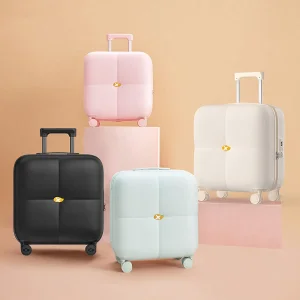 Cabin Luggage