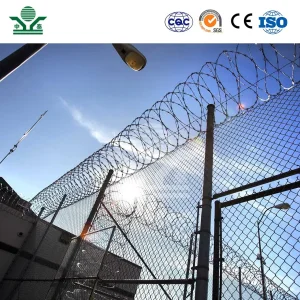 Zhongtai Razor Wire Vs Barbed Wire China Manufacturers 50 Inch Coil Diameter Double Razor Wire Used for Construction Security Fencing