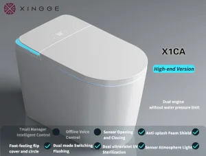 Elongated One-Piece Toilet