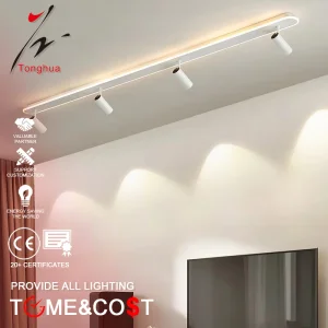 LED Ceiling Light