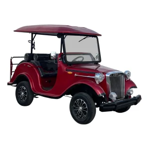 5 Seats Mini Electric Cart