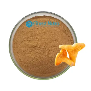 Mycelium Chanterelle Mushroom Extract 10% Polysaccharides Cantharellus Cibarius Extract Powder
