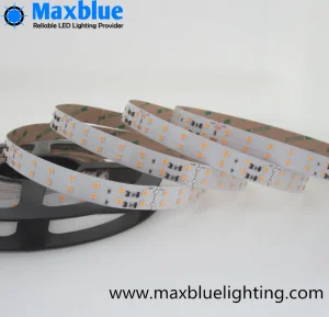 SMD2835 140LEDs/M Constant Current LED Strip Light