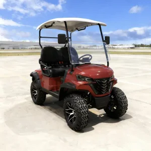 2 Seater Mini Electric Mobility Scooter Golf Cart for Sale