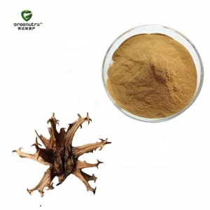 Clinical Strength Harpagophytum Extract