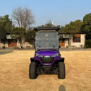 Carrinho de golfe a gasolina mini chinês