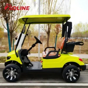 Gasoline golf carts