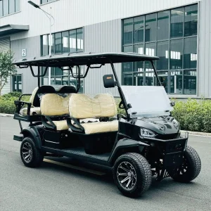 6-Seater Resort Cart
