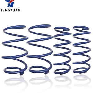 Lowering Springs Kit