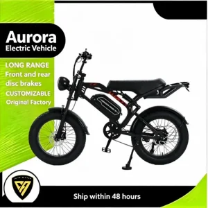 ODM Vintage Fat Tire Off Road E-Bike
