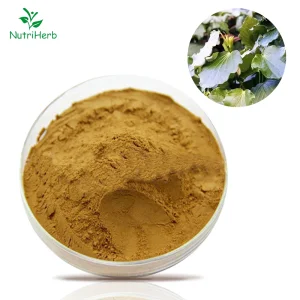 Kava Root Extract