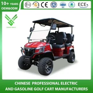 8+2 Seater 8 Passenger Hunting off Road Club Car Street Legal Utility Mini Tourist Solar Panel Trolley Lead Acid Gas Powered Gasoline Petrol Electric Golf Cart