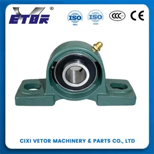 UCP206 bearing