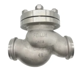 Cryogenic Check Valve
