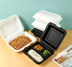Biodegradable Takeout Box
