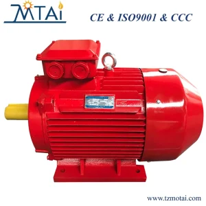 IE3 Motor