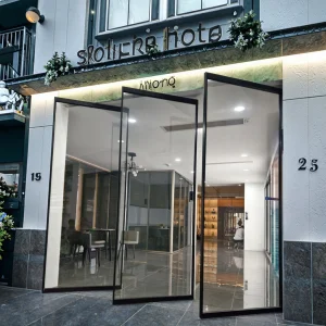 Premium Commercial Pivot Door with Customizable Smart Glass Front Door Electric Pivot Door