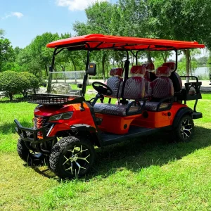 6 Passenger Golf Cart