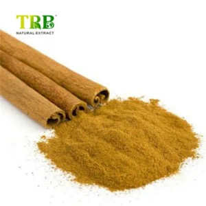 Wholesale Cinnamon Bark Extract Manufacturers