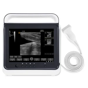 Portable Ultrasound