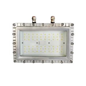 Explosion-Proof Lights 80W Flood Lamp COB Flood Lighting LED with Good Quality