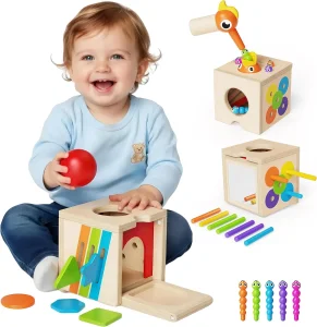 Ibay 5 in 1 Montessori Activity Toys for Kids Wooden Learning Toys with Object Permanence Bird Feeding Game Fine Motor Skills Problem