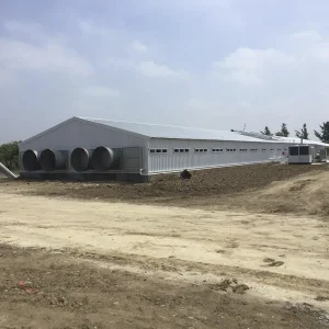 Chicken Farm Building Durable Steel Structures for Efficient and Eco-Friendly Agriculture