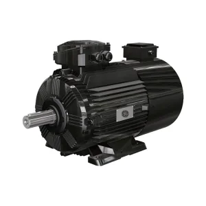 CE Certification Wolong Nanyang WEBP3 series variable frequency motor