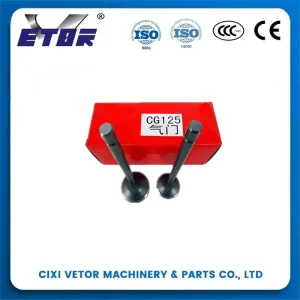 CG-125 motorcycle valve