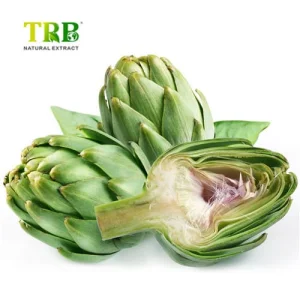 Wholesale Artichoke Extract Suppliers, Factory