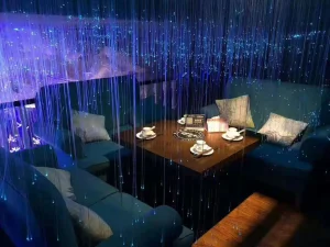 LED Fiber Optic Garden Lights Outdoor Ambient Lighting