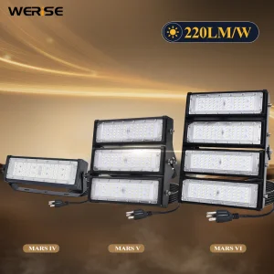 WERISE IP65 Waterproof LED Flood Light