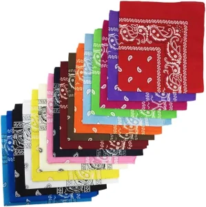 Paisley Head Wrap