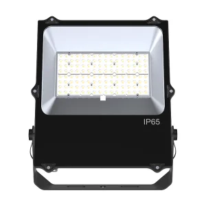 High Bright 50W IP66 6500K LED Floodlight