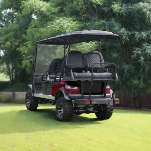 Ultimate Comfort 6-Seater Golf Cart