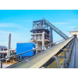Customized Motorized Belt Conveyor