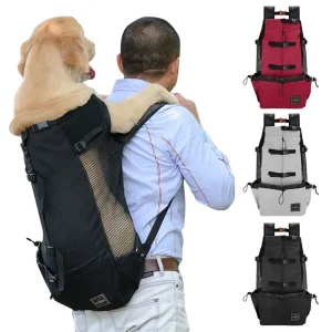 Custom Logo Backpack