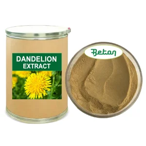 Hot Sale Natural Water Soluble Dandelion Root/Leaf Extract Powder for Supplements 4% 5% Flavonoids