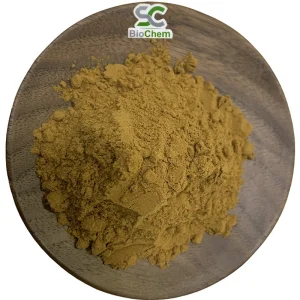 Aloe Vera Dry Extract