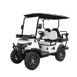 Commercial Grade Golf Cart 4 Seater