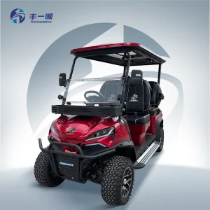 Luxury LED Golf Cart