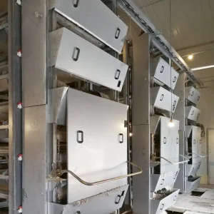 Easy Install Poultry Farm Broiler Chicken Cage Automatic Manure Removal Equipment