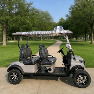 Off-Road Golf Cart with Suspension