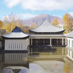 Premium Decorative Mortars