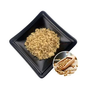 Textured Soy Protein TVP