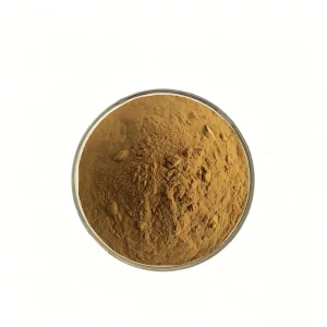 Ganoderma Lucidum Extract Reishi Mushroom