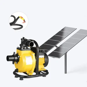 DC48V 60V 72V 1.1kw 1.5kw 2.2kw Self-Priming Solar Water Pump