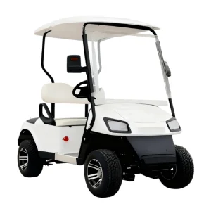 OEM Approved Mini 2 Seater 60v Battery Electric Golf Cart
