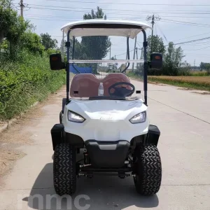 6 Seats Security Cart