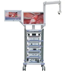Hot Selling 50 or 60 Hz Surgery Instruments 1080P Full HD Endoscopic Imaging System
